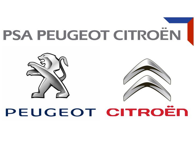 Peugeot/Citroen (Acc) One-Piece Rubber Mat – 9464X5